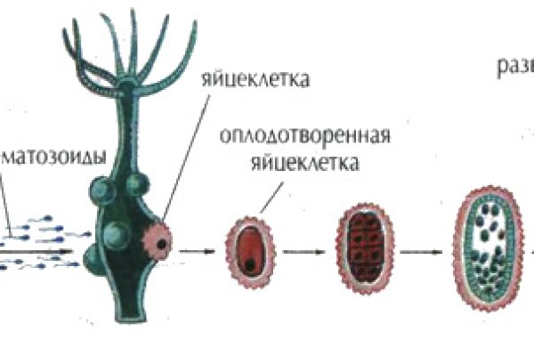 Кракен мага