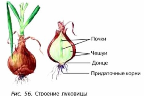 Кракен даркнет поддержка